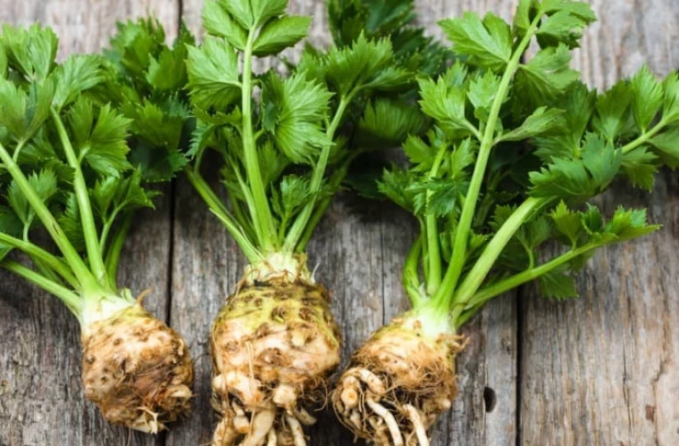 Идеальный натуральный напиток при диабете