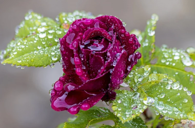 Прогноз погоды на 5 апреля