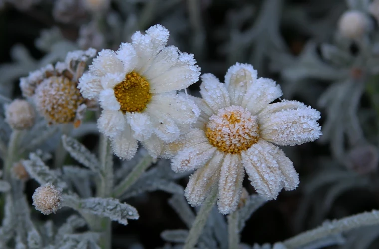 Прогноз погоды на 12 апреля