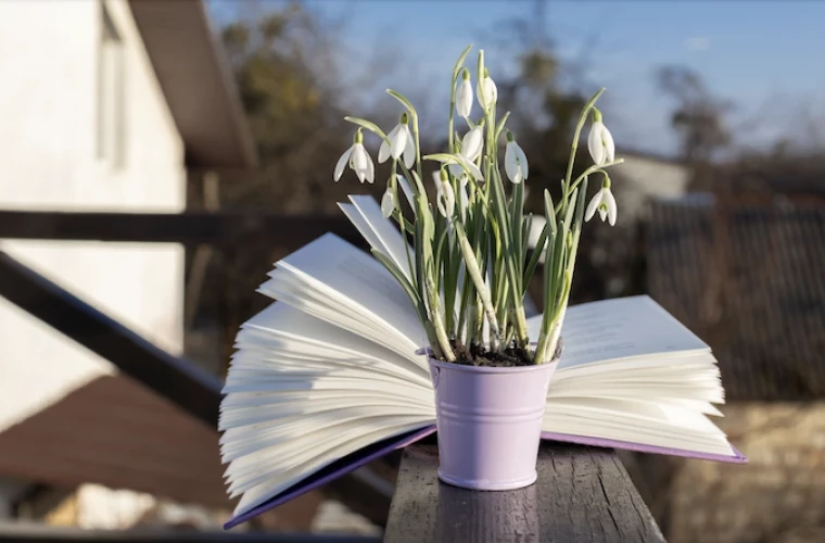 Прогноз погоды на 13 апреля