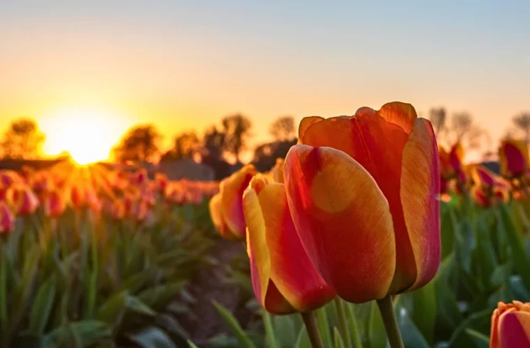 Прогноз погоды на 25 апреля